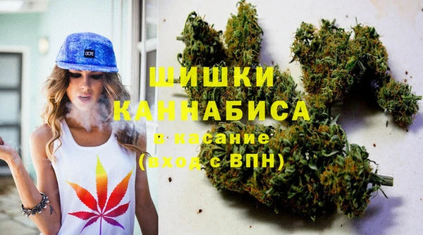 МДПВ Алзамай