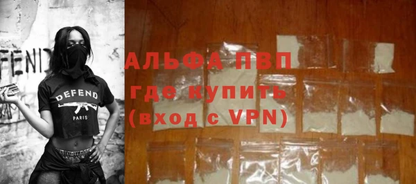 стаф Алексин