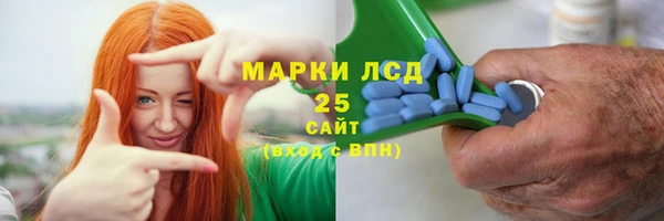 стаф Алексин