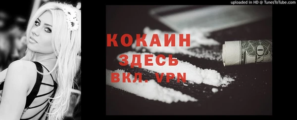 МДПВ Алзамай