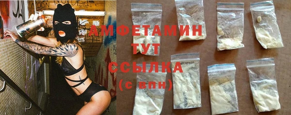 стаф Алексин