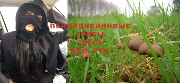 стаф Алексин