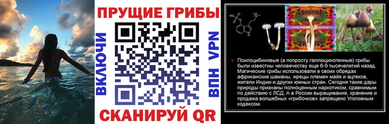 Псилоцибиновые грибы мухоморы  как найти   Ельня 